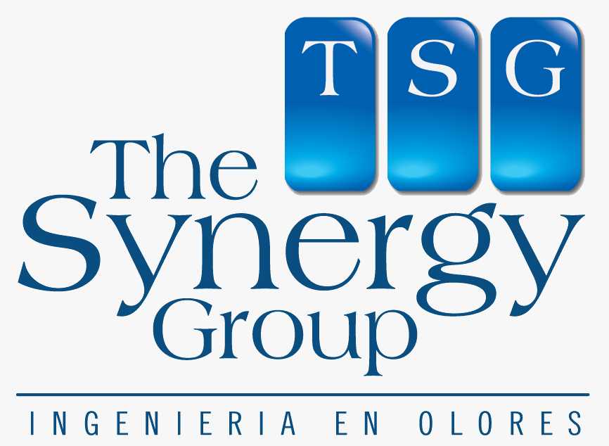 logo tsgchile